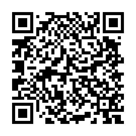 QR code for 225451