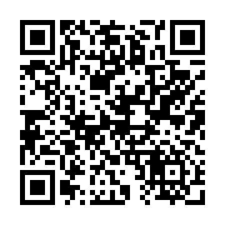 QR code for 228417