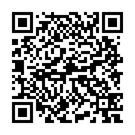 QR code for 228739