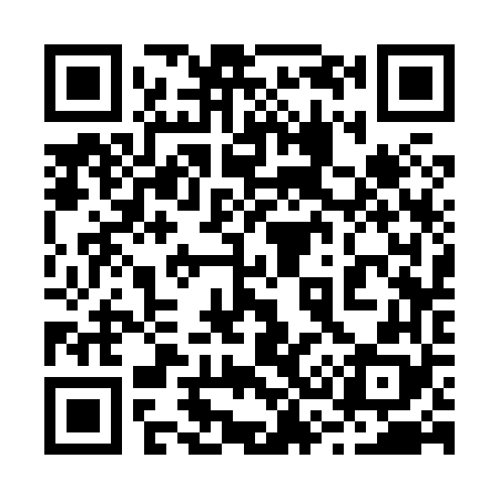 QR code for 233868