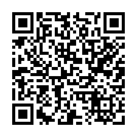 QR code for 234338