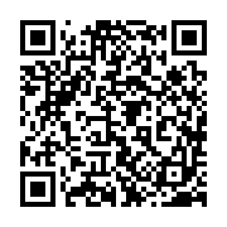 QR code for 238393