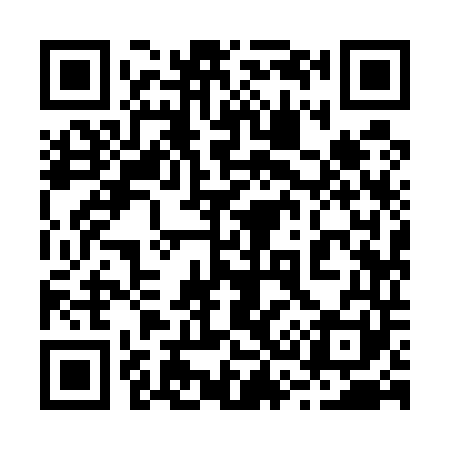 QR code for 239541