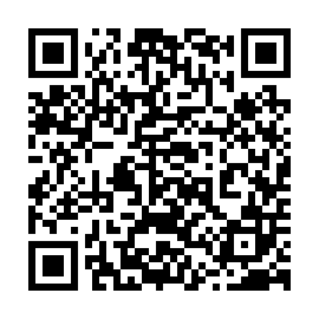 QR code for 243202