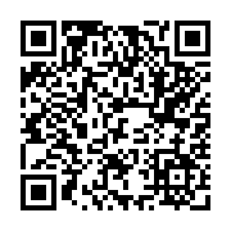QR code for 24733