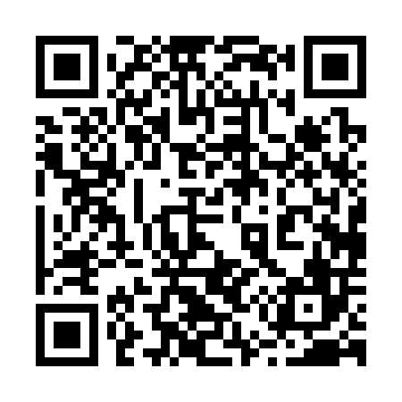 QR code for 250306