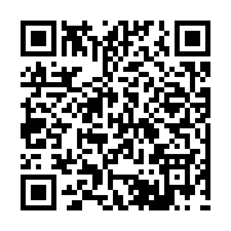 QR code for 25333