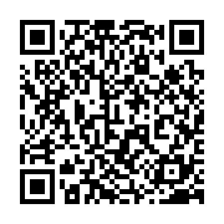 QR code for 253335