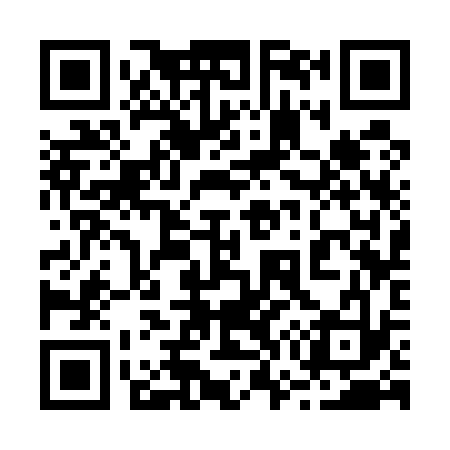 QR code for 273533