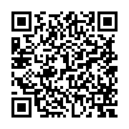 QR code for 2738878
