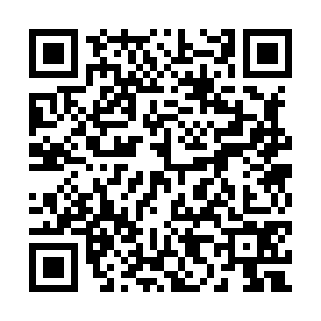 QR code for 2838740