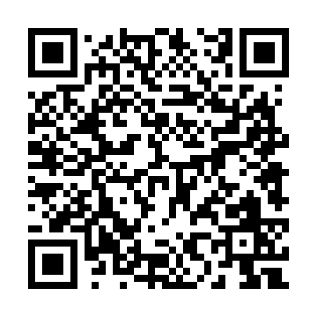 QR code for 28463