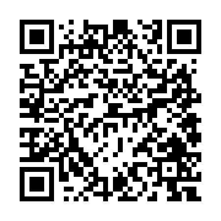 QR code for 28666
