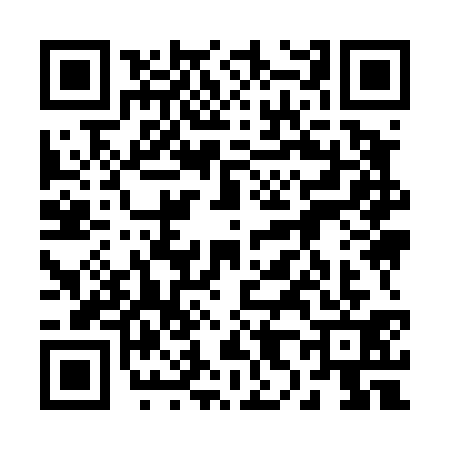 QR code for 2894319