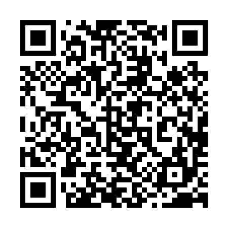 QR code for 290294
