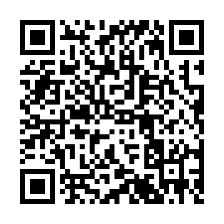 QR code for 29031