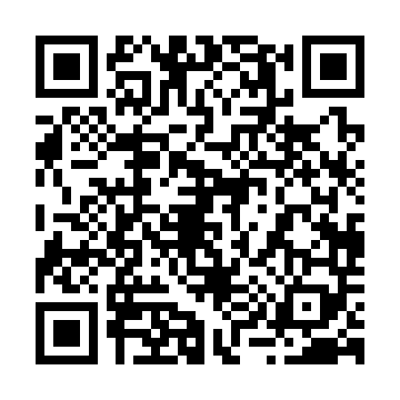 QR code for 2903493