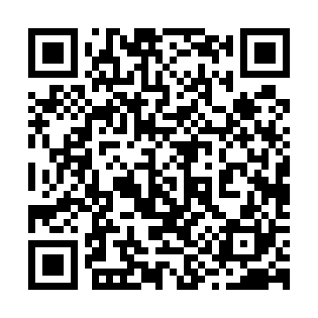 QR code for 290520