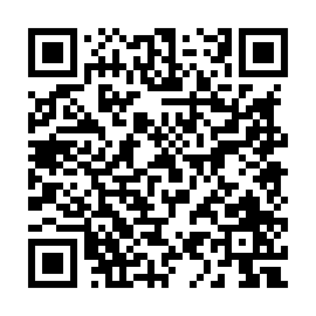 QR code for 29080