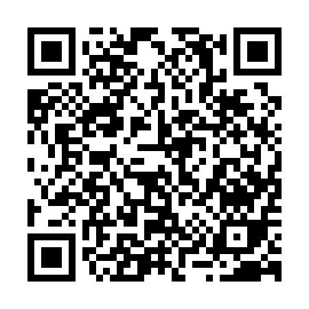 QR code for 29111