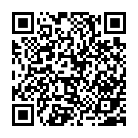 QR code for 29161