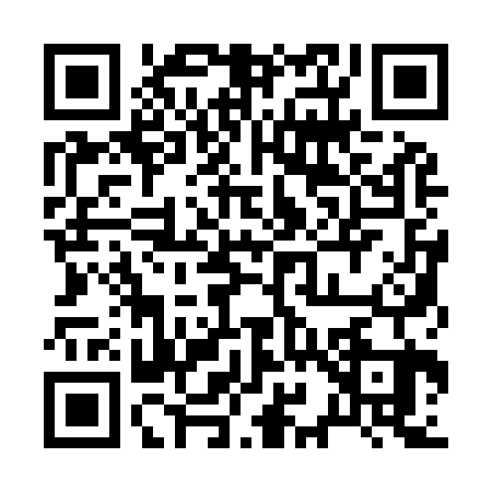 QR code for 2919238