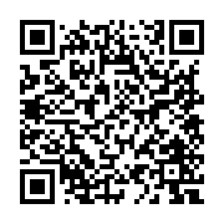QR code for 29295