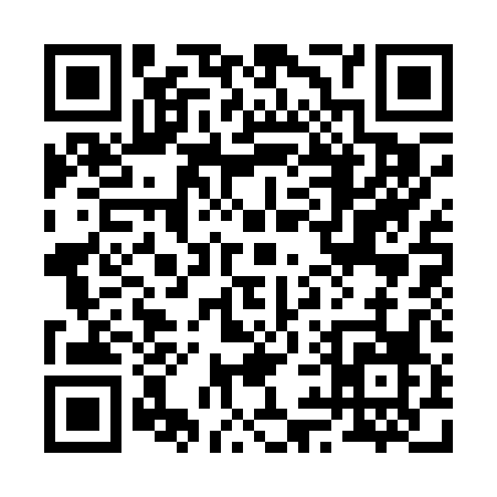 QR code for 29300