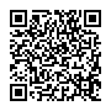 QR code for 29381