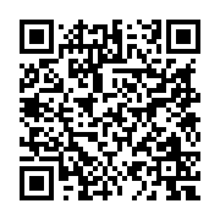 QR code for 29383