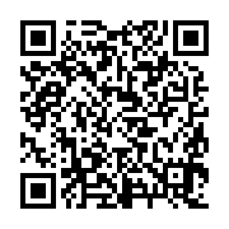 QR code for 293895