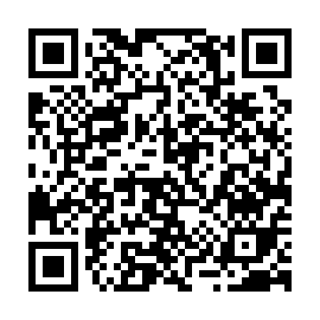 QR code for 29411