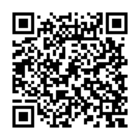 QR code for 294142