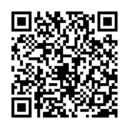 QR code for 2942594