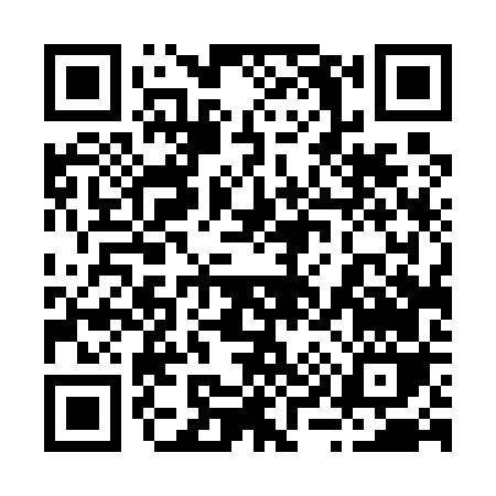 QR code for 29456