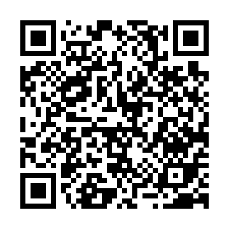 QR code for 29461