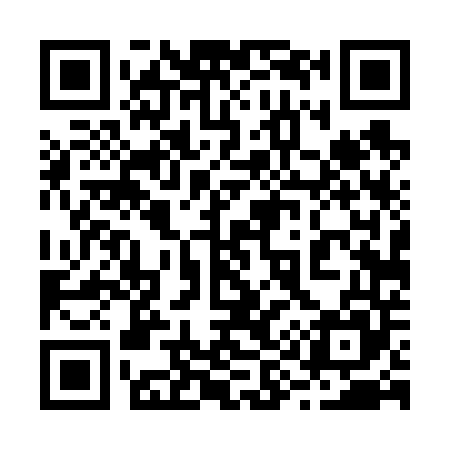 QR code for 294645