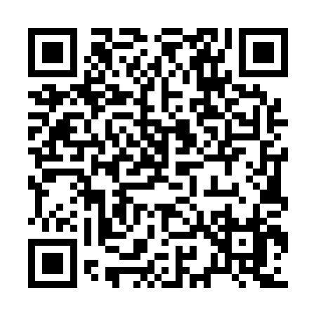 QR code for 29510