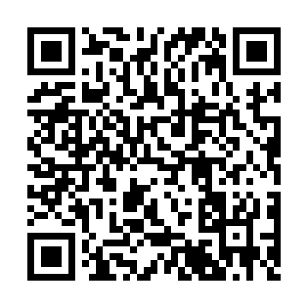 QR code for 29513