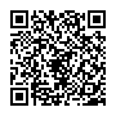 QR code for 2952383