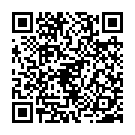 QR code for 2952895