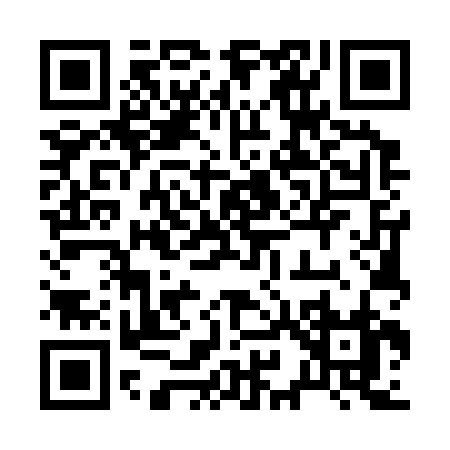 QR code for 29532