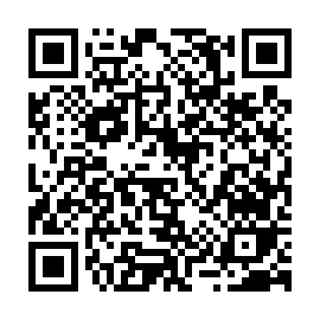 QR code for 29546