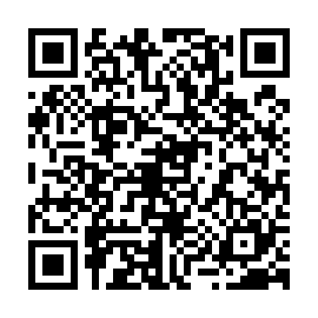 QR code for 2955250