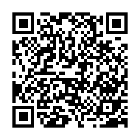 QR code for 29597