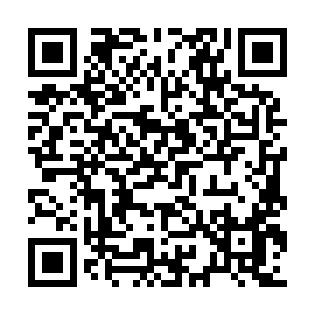 QR code for 29599