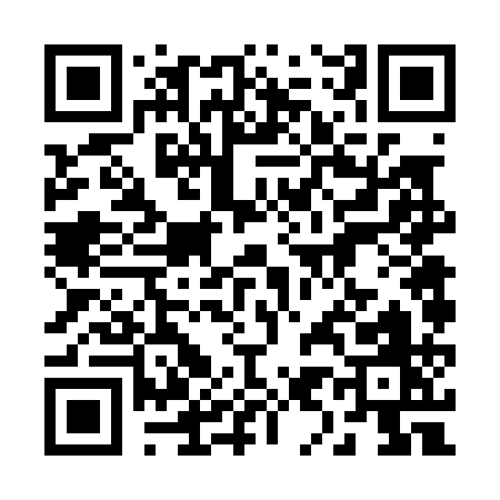 QR code for 29601