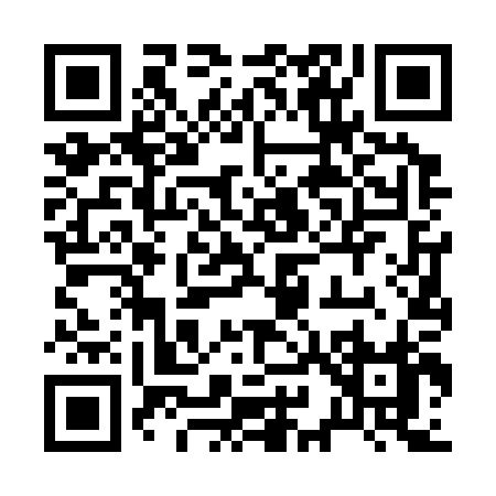QR code for 29630