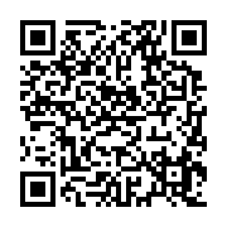 QR code for 29633