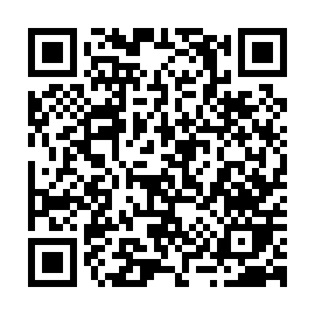 QR code for 29700